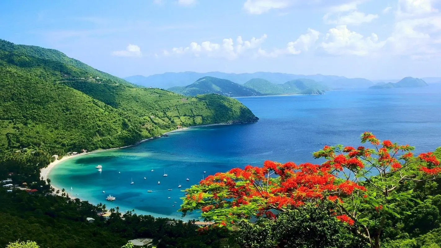 高质量高效